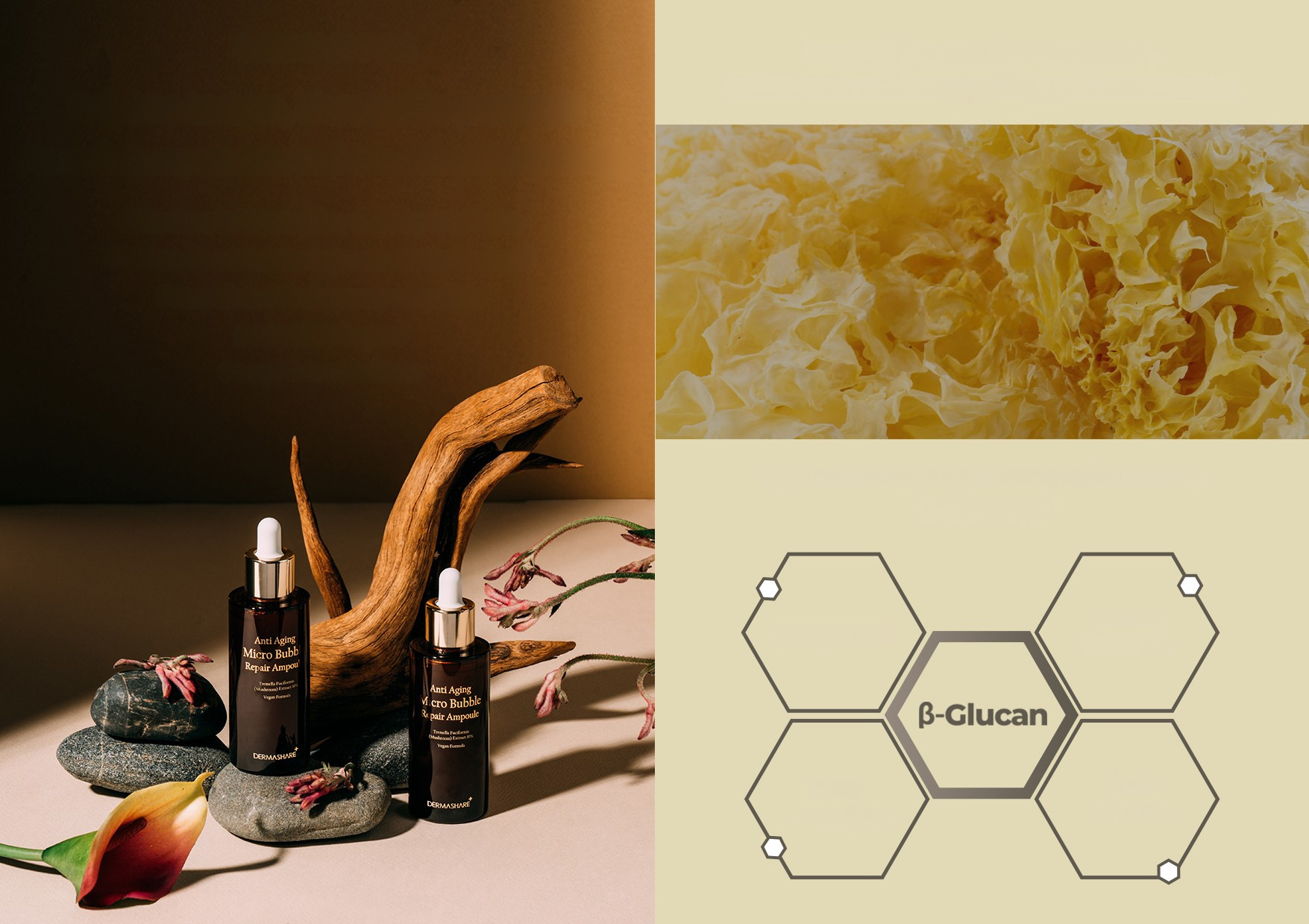 DERMASHARE D10