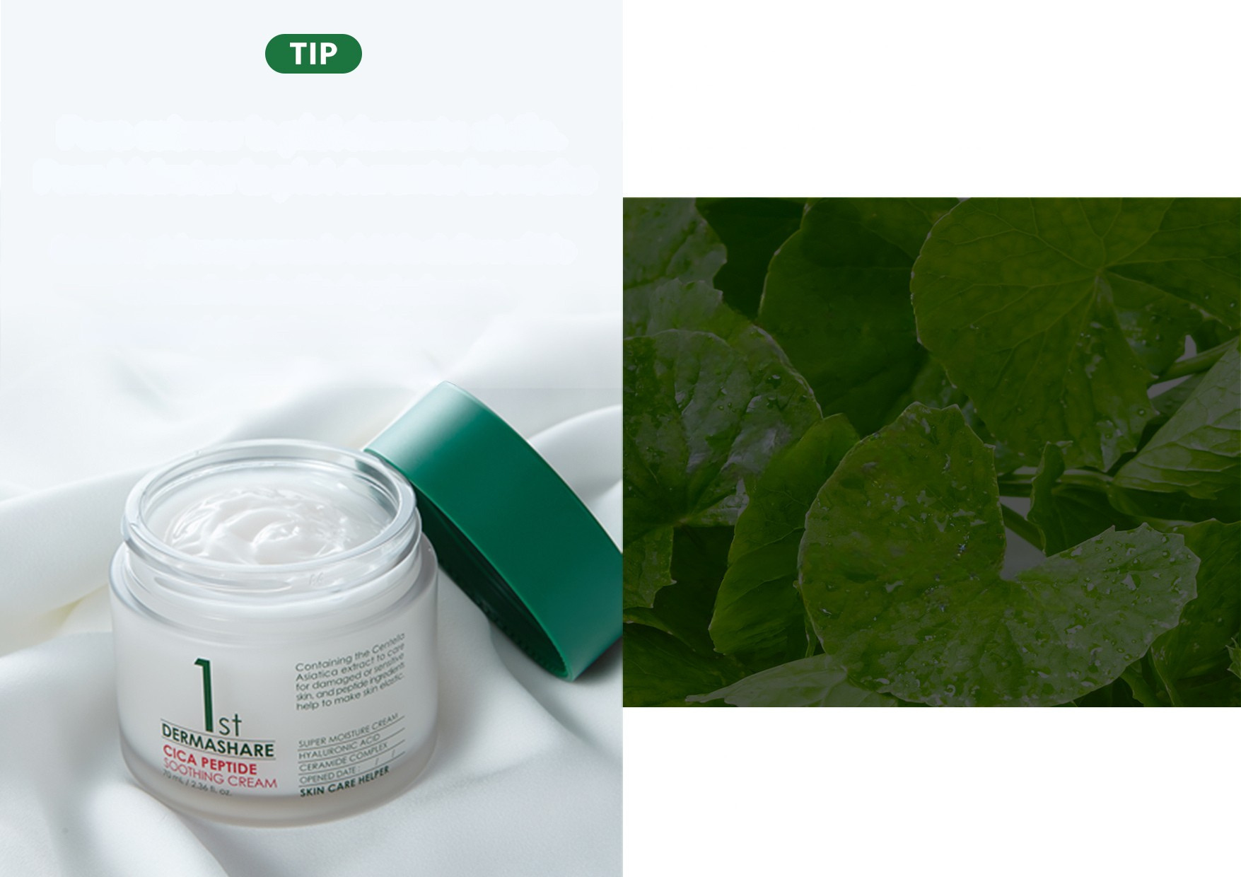 DERMASHARE D11